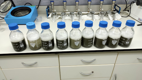 Sample preparation