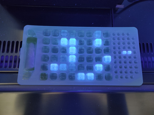 Sample incubation and reading the results