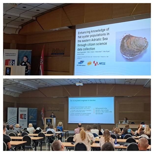 POPOyster Presented at the Adria Climate Conference