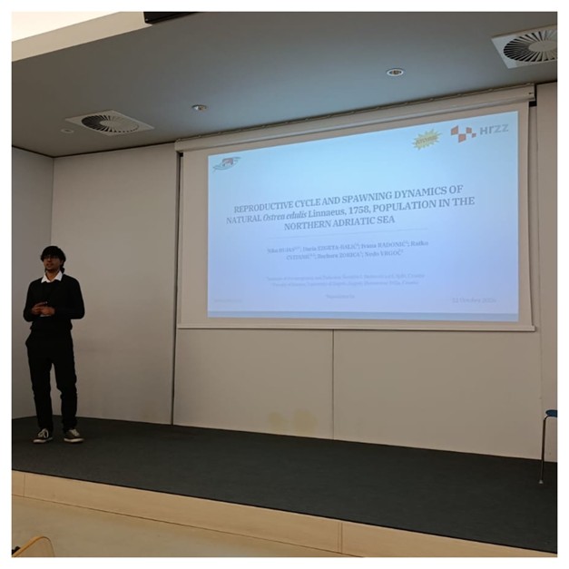 PhD Student Niko Bujas Presents His Research at STEcoMed2026
