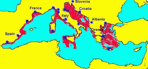 MEDITS - Institucije