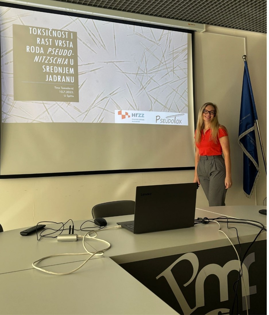 Presentation at the PhD students’ gathering