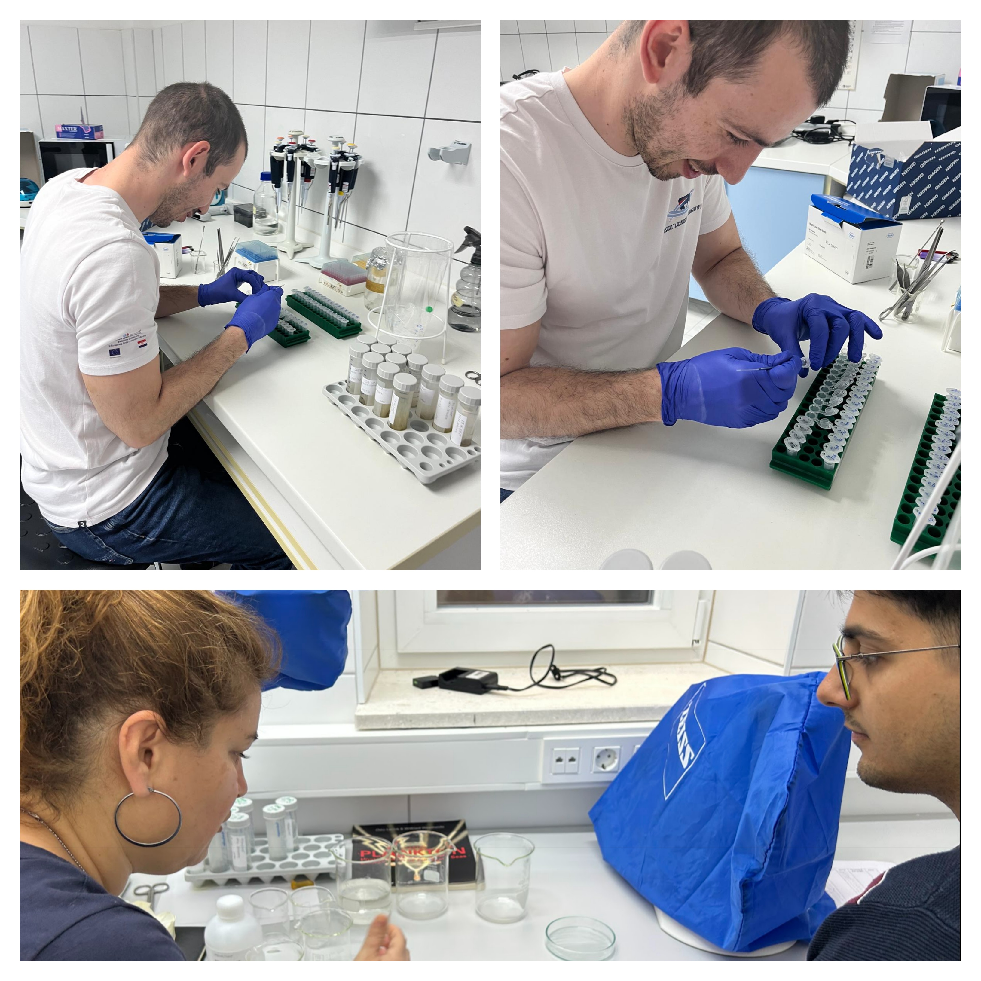 From Field to Lab – Sample Analysis in Progress