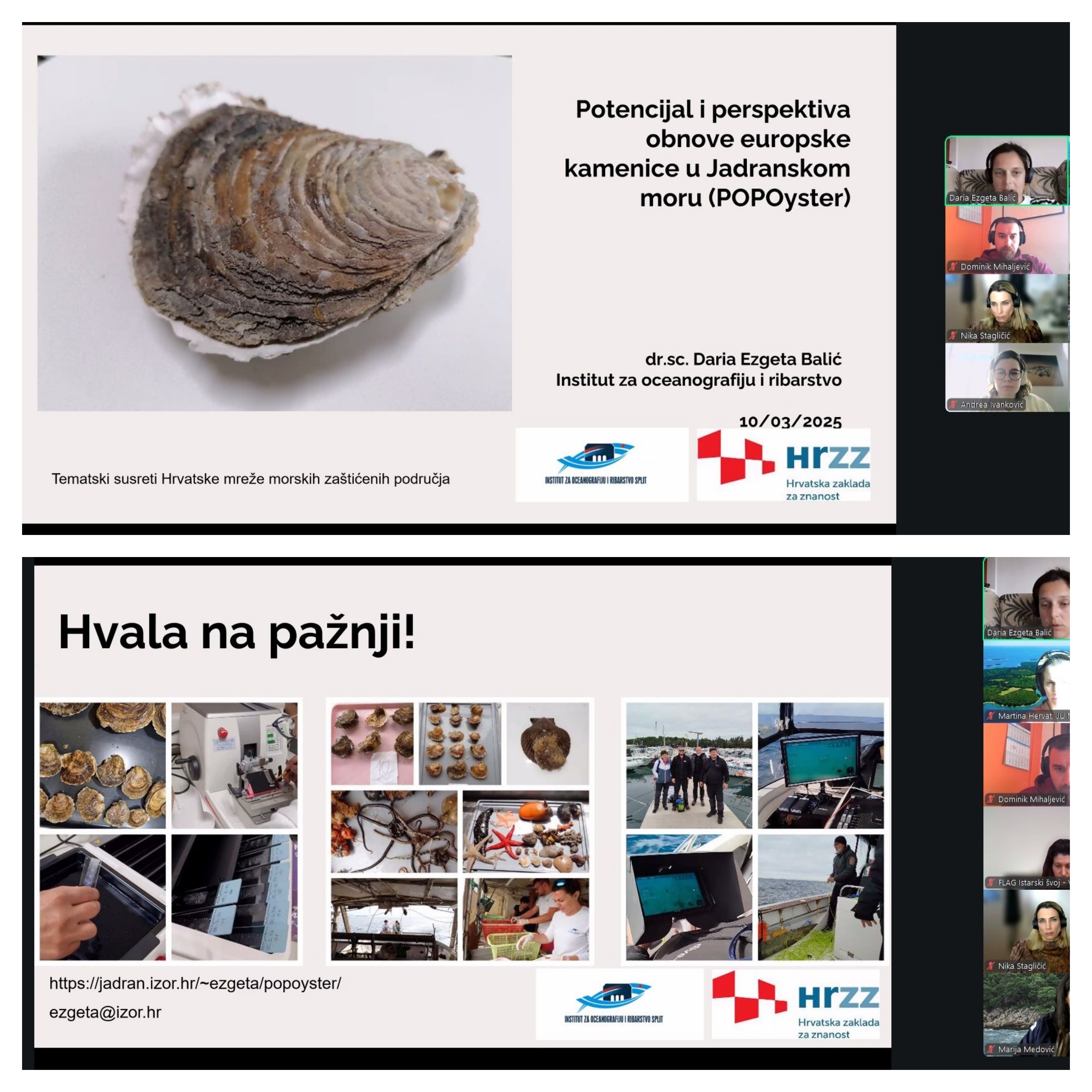Presentation of Project Activities and Results within the Network of Marine Protected Areas
