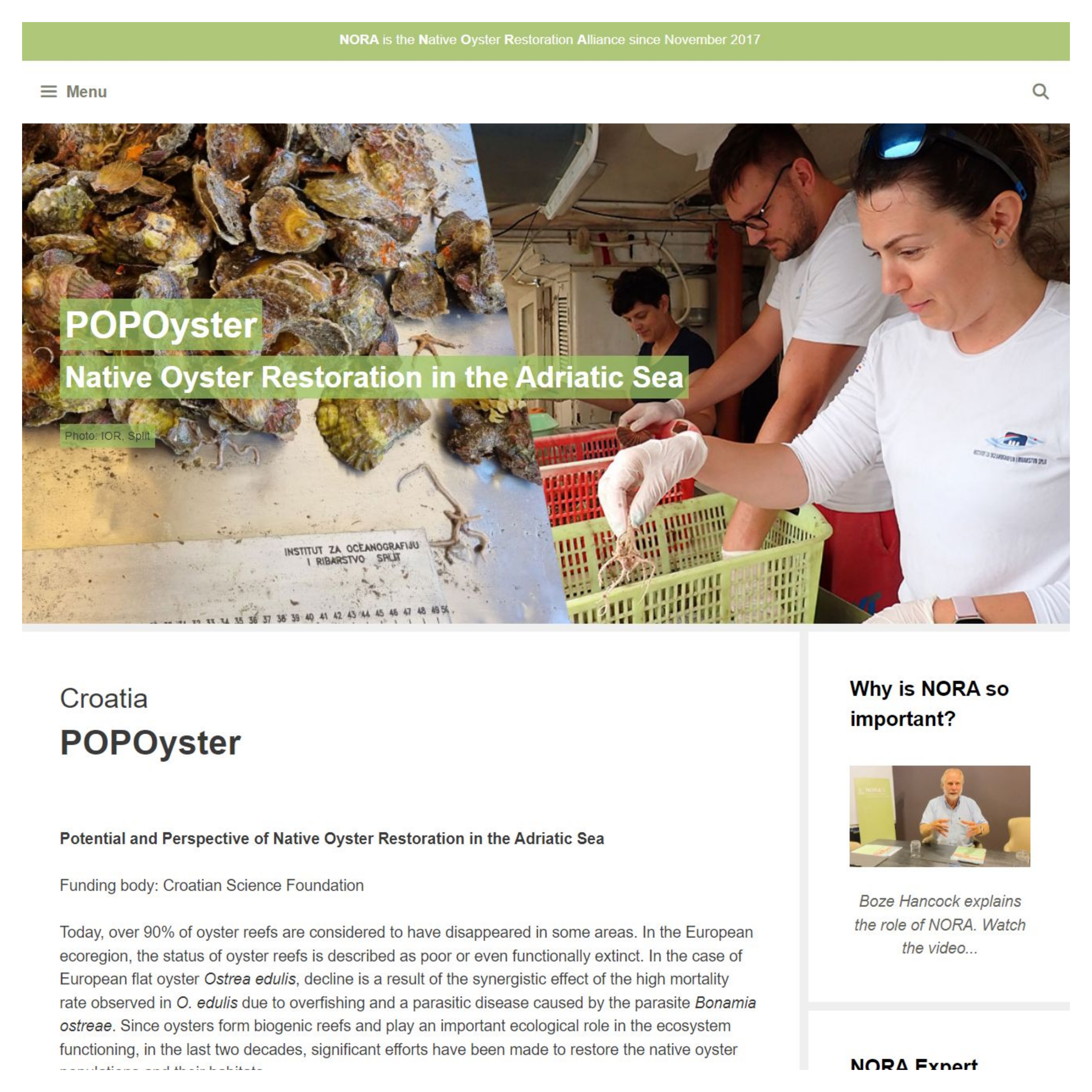 POPOYSTER and NORA - Native Oyster Restoration Alliance